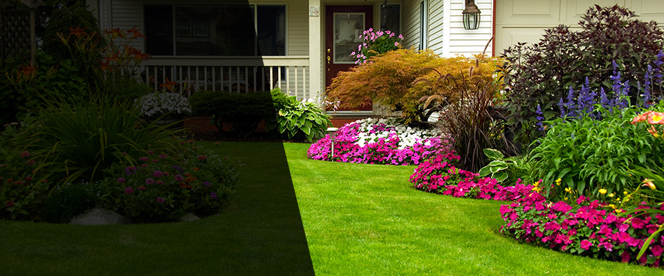 Philippi Landscapers