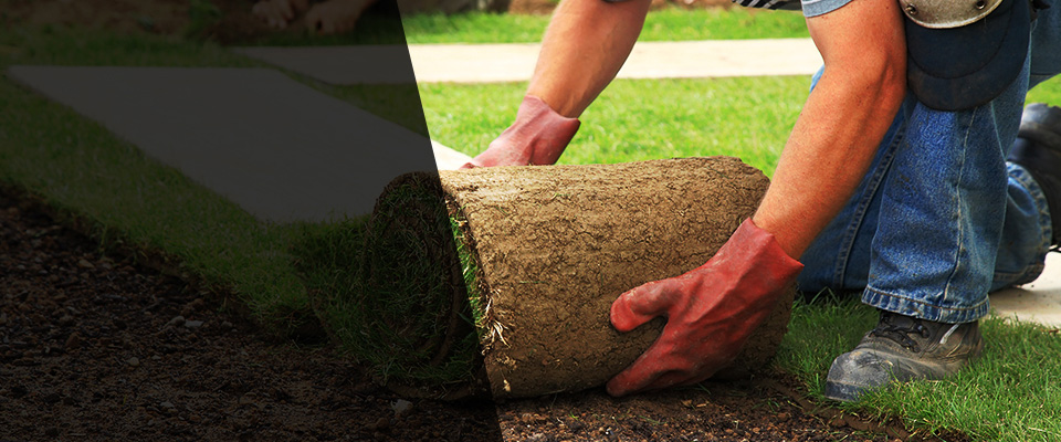 Philippi Landscapers